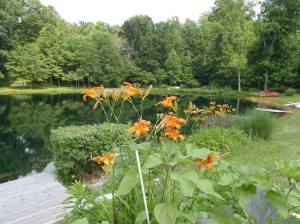 10358947_584918784960319_2941025300292017217_o