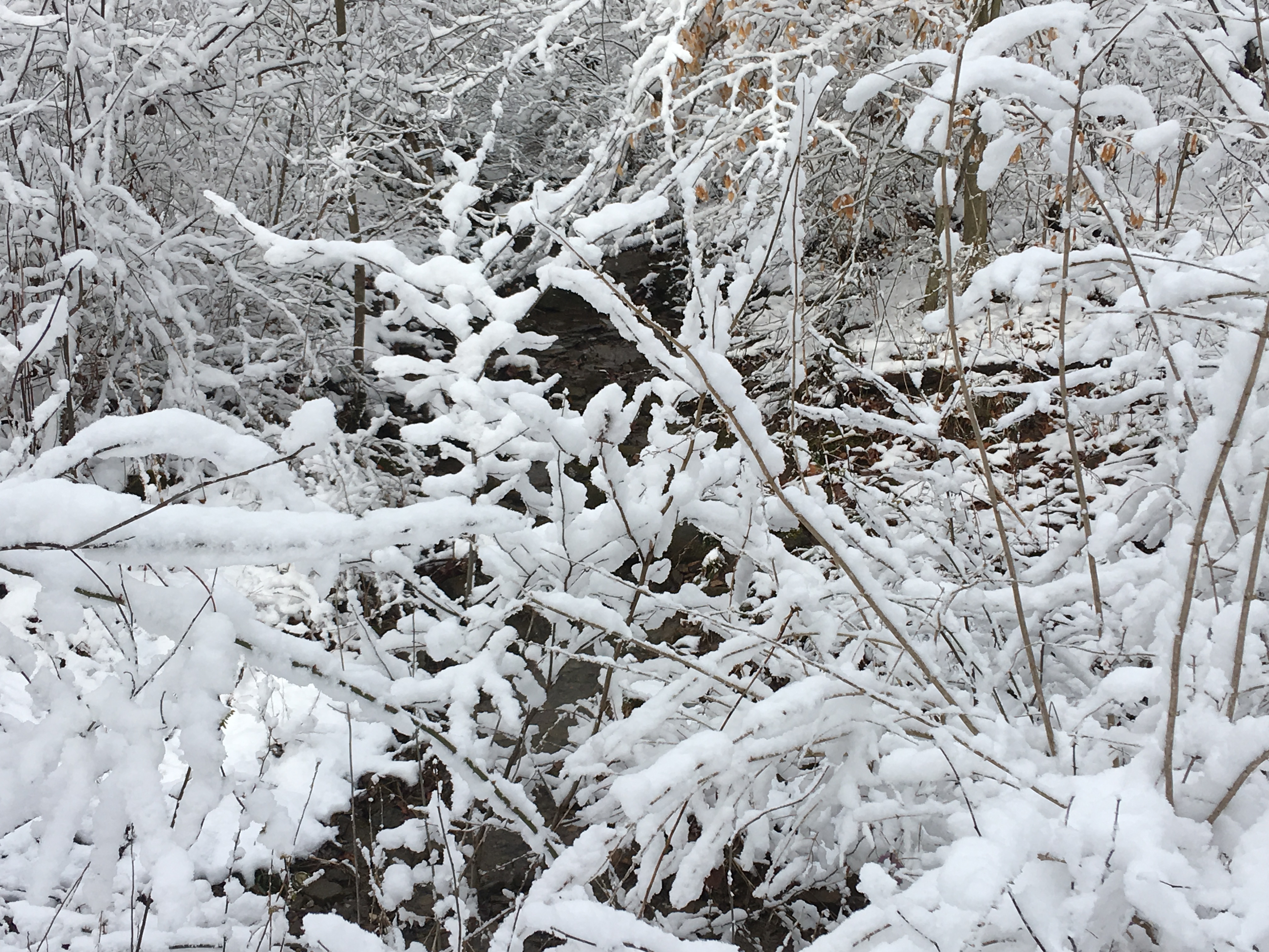 C89EBD95-B9EF-4306-985E-84D61A602014