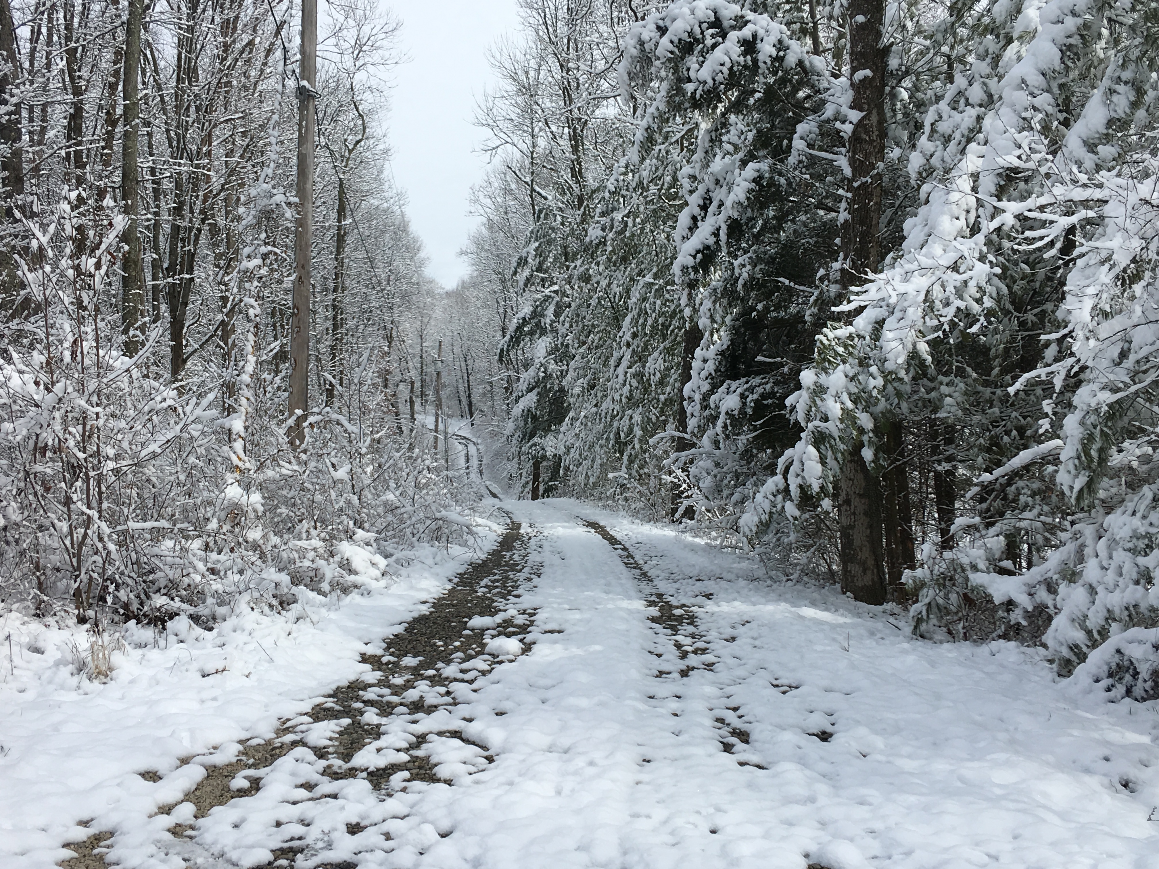 EDC75ACA-D960-4A03-891C-4E551561CED6