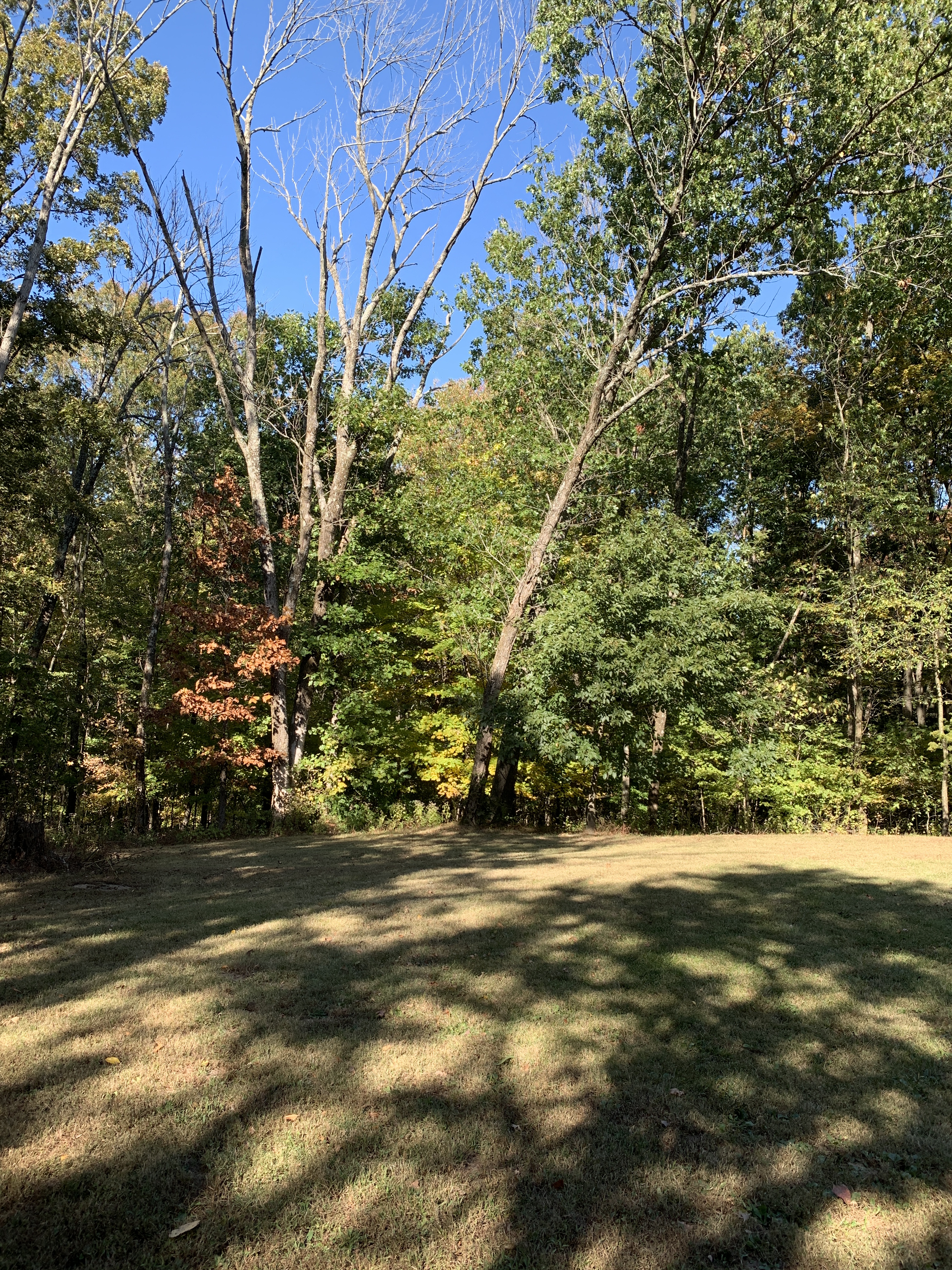 58A199F9-8C38-4CE4-8B30-1AC93F289BEF